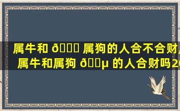 属牛和 🐎 属狗的人合不合财,属牛和属狗 🌵 的人合财吗2021年